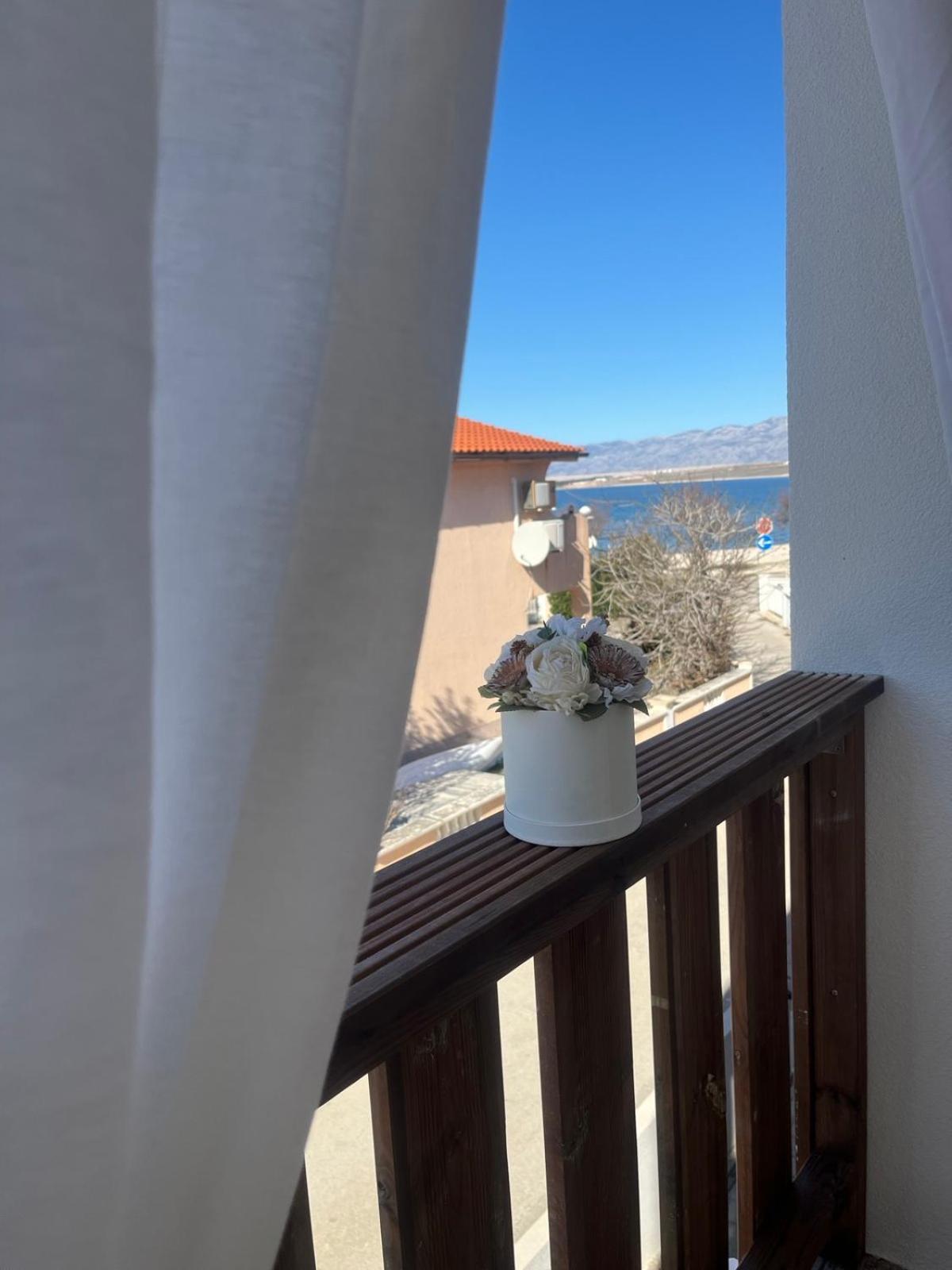 Apartment Sinisa Vir