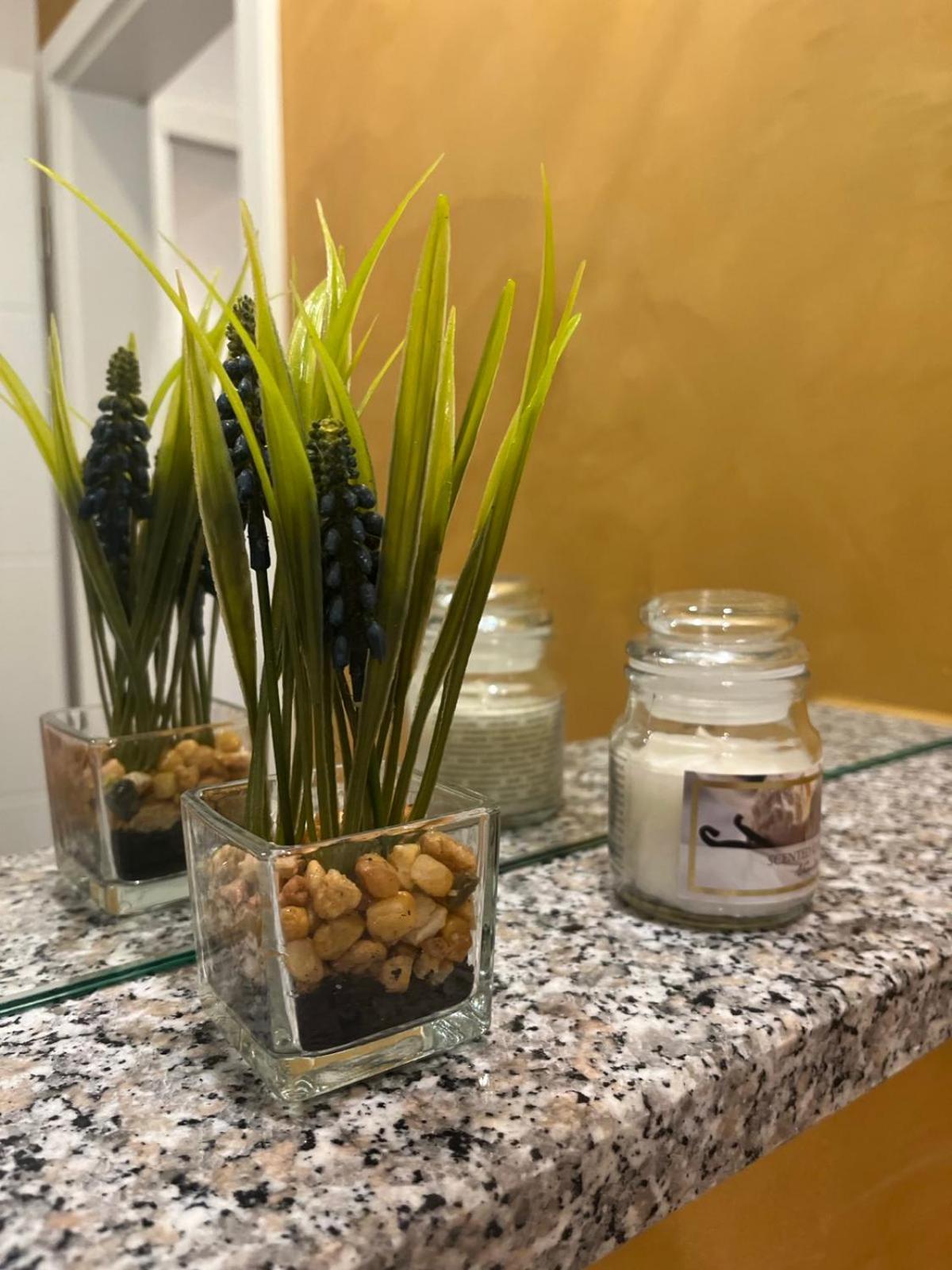 Apartment Sinisa