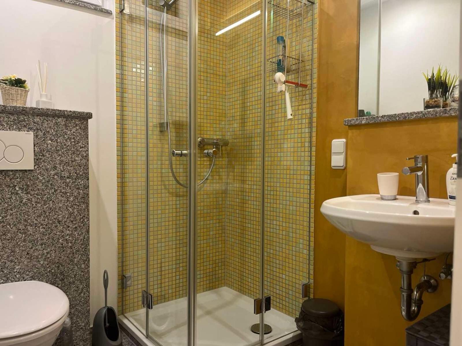 Sinisa Apartment Vir